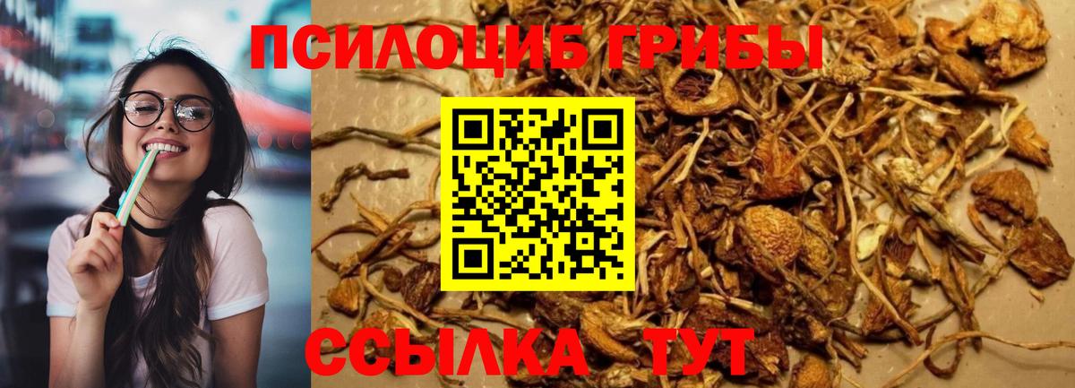 Псилоцибиновые грибы мицелий  что такое наркотик  Кумертау  Вход с VPN 
