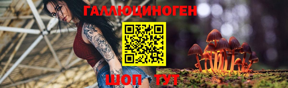 Галлюциногенные грибы GOLDEN TEACHER Кумертау