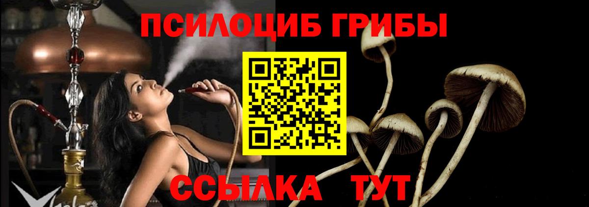 Псилоцибиновые грибы ЛСД  Кумертау  Псилоцибиновые грибы Magic Shrooms 